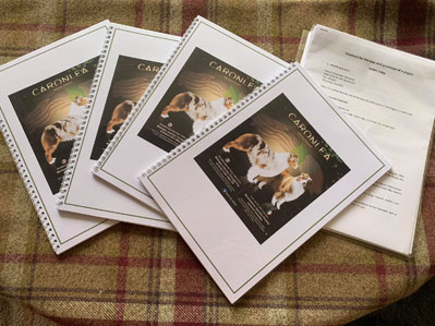 Example of personalised Caronlea puppy packs