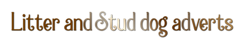 Litter and stud dog advertisements