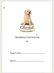 Example of a personalised worming certificate