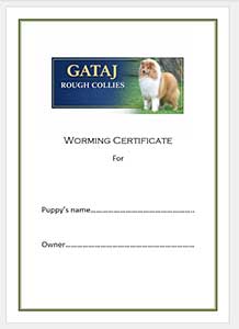 Second example of a personalised worming certificate