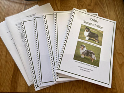 Example of a personalised puppy pack